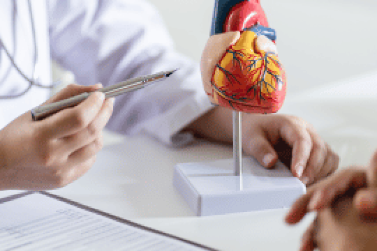 Cholesterol - Statins Health Article - February 2025