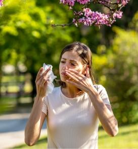 Springtime Allergies - Spring 2024