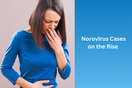 Norovirus in NYS - December 2024